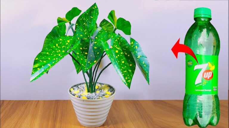 Dieser geniale Trick verwandelt alte Plastikflaschen in beeindruckende Wohnraum-Deko…