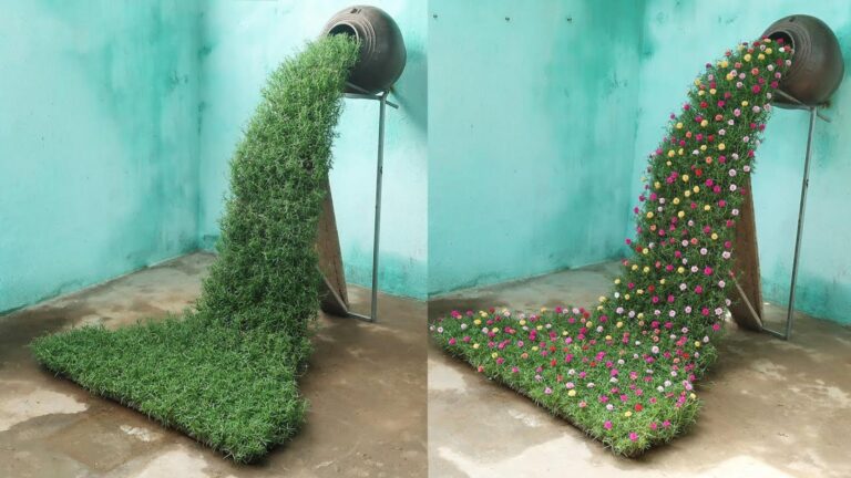 Dieser vergessene Trick verwandelt deinen Garten in ein atemberaubendes
