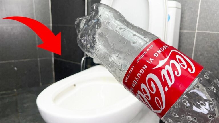 Dieser vergessene Trick repariert schnell dein Klo und spart dir viel Geld …