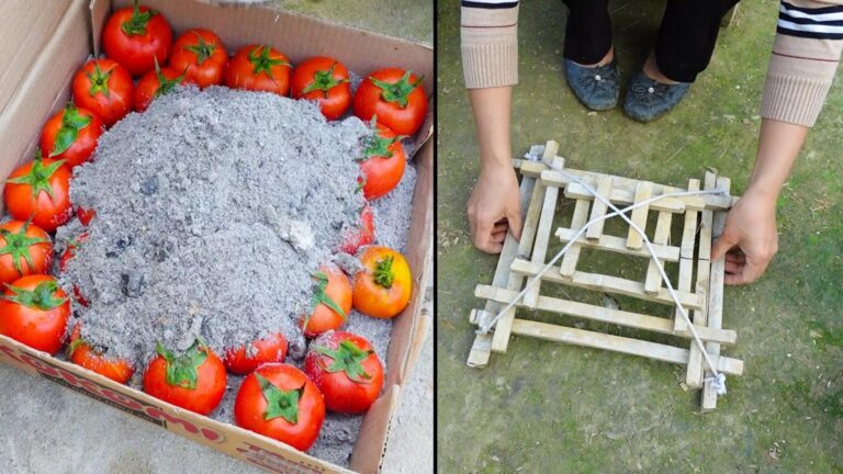 Dieser einfache Tipp verwandelt deinen Garten ohne viel Geld in eine blühende Oase…