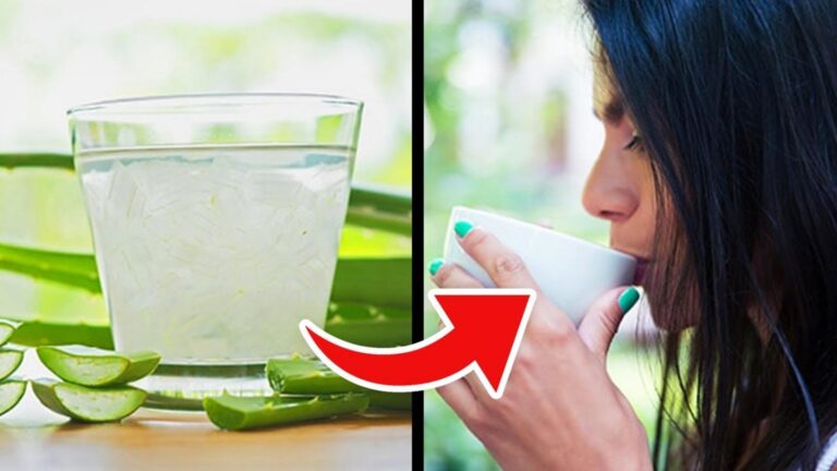 Eine einfache Morgenroutine mit Aloe Vera verändert alles… Entdecke die erstaunlichen
