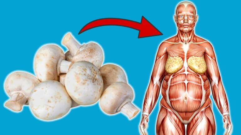 7 faszinierende Vorteile von täglich Pilzen für deinen Körper entdecken!