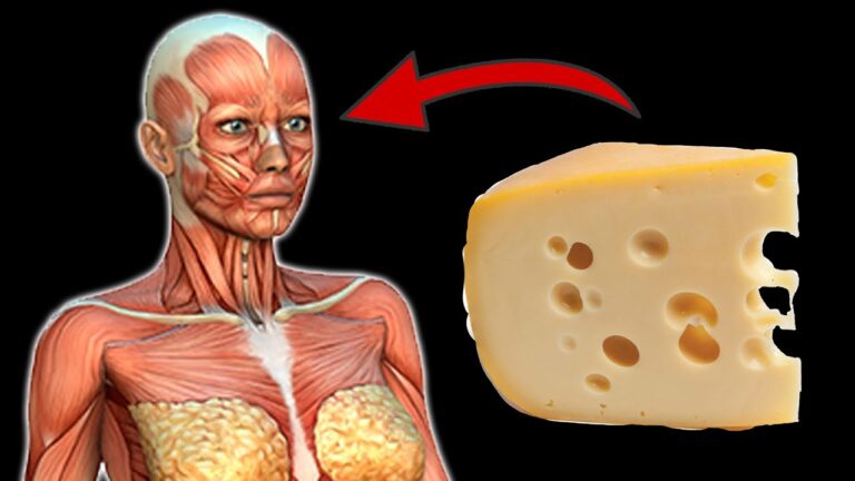 Täglich Käse essen: 5 überraschende Vorteile für deine Gesundheit entdecken!