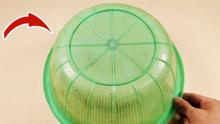 10 geniale Tipps, um deinen schmutzigen Einkaufskorb schnell wieder sauber zu bekommen!