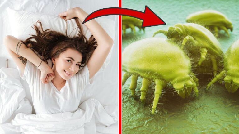 Warum du dein Bett morgens nicht machen solltest – 5 Gründe, die überraschen!