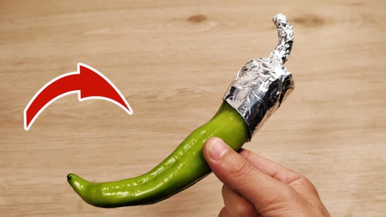 5 geniale Tipps für Gemüse, die Nachbarn im Geheimen nutzen – entdecke sie jetzt!