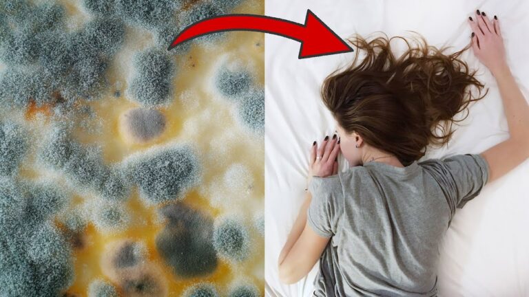 6 Gründe, warum du NIEMALS mit offenem Fenster schlafen solltest!
