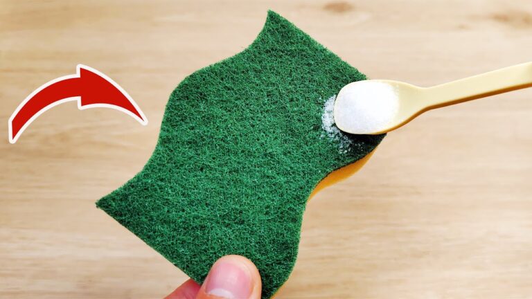 7 geniale Tipps: Mit Salz und Schwamm wirst du Geschirrspülen lieben!