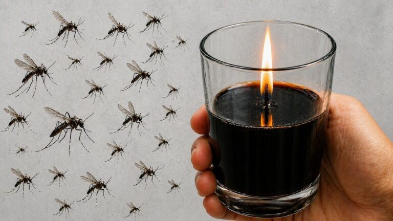 6 Tricks, um lästiges Insektenproblem mit einer einfachen Kerze zu lösen!
