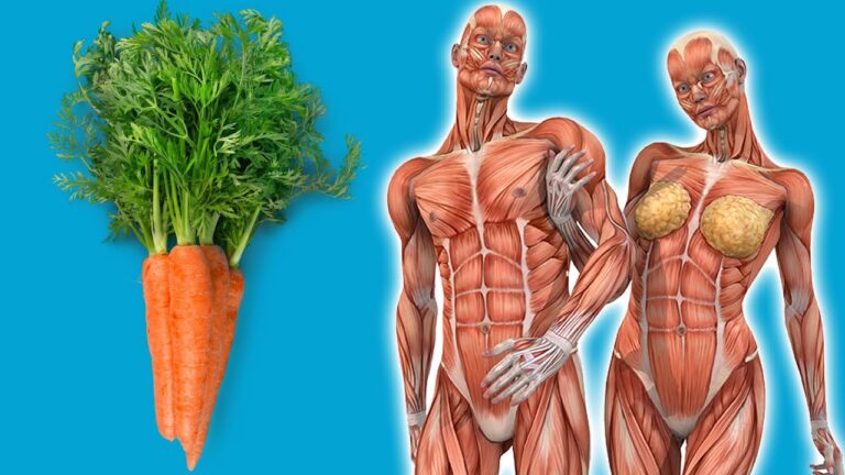 5 erstaunliche Vorteile von Karotten für deinen Körper jeden Tag entdecken! 🥕✨