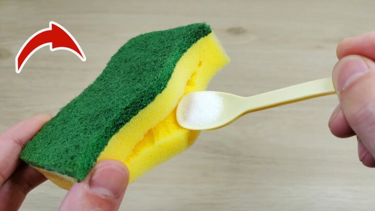 Entdecke 5 geniale Tricks mit Spülschwämmen, die du noch nie gekannt hast!