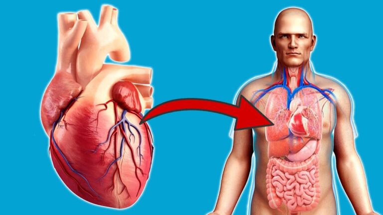 So verändert tägliches Training dein Herz – 5 unglaubliche Vorteile für deine Gesundheit! 💪❤️
