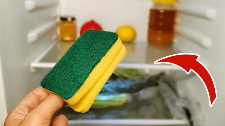 5 Vorteile eines Spülschwamms im Kühlschrank, die du nicht kennst!