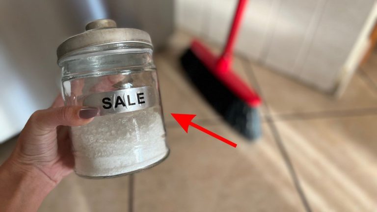 Der Reinigungsbesen – So macht Putzen Spaß und hält nicht auf!