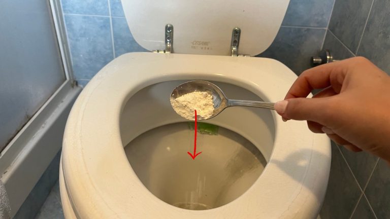 Mit Mehl ins Klo: So funktioniert der Trick über Nacht