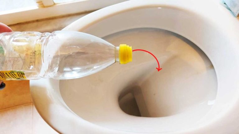 So nutzen Sie Essig für blitzsaubere Toiletten: Ein einfacher Trick