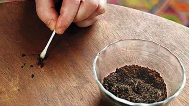 Die besten Tricks, um Kratzer von Möbeln sofort zu entfernen