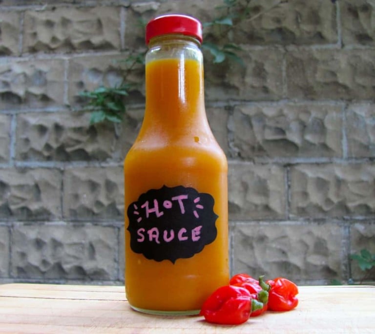 Habanero-Sauce mit 5 Zutaten: So gelingt die scharfe Köstlichkeit