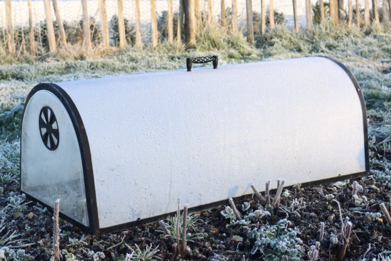 10 kostengünstige Ideen für eine längere Wachstumsperiode