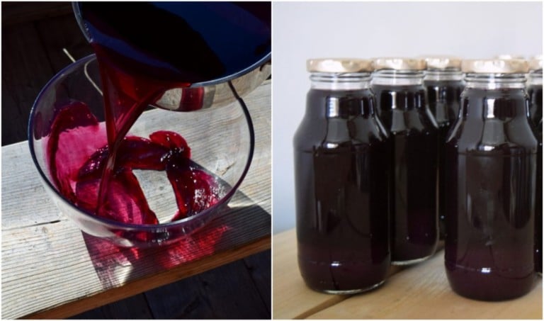 Traubensaft selbst herstellen und haltbar machen – ganz ohne Entsafter