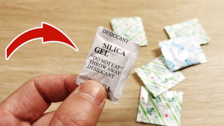10 geniale Tipps: So nutzt du Lebensmittel-Trockner effektiv und nachhaltig!