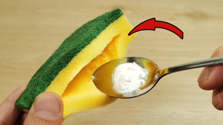 10 geniale Verwendungsmöglichkeiten für Küchenschwämme, die du noch nicht kennst!