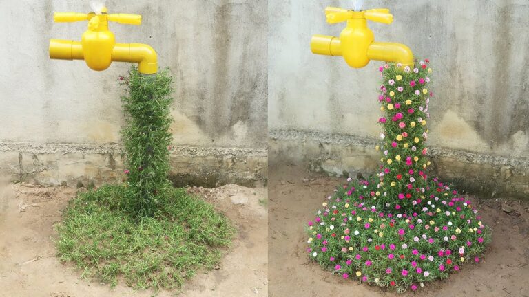 7 kreative Tipps für einen atemberaubenden Portulaca-Garten entdecken!