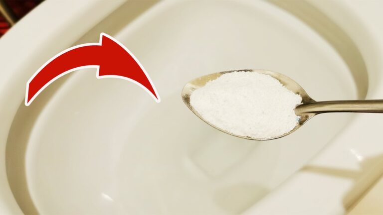 5 geniale Tipps für perfekten Toilettenreinigungs-Pulver – So einfach ist Sauberkeit!