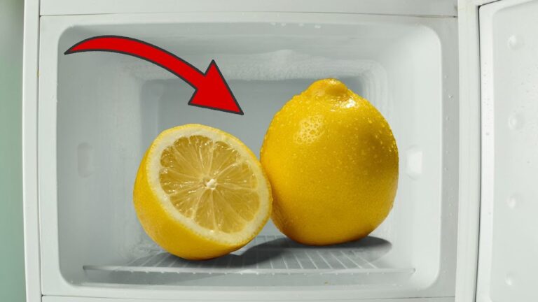 Einfrieren leicht gemacht: 5 geniale Tipps, die du sofort ausprobieren musst!